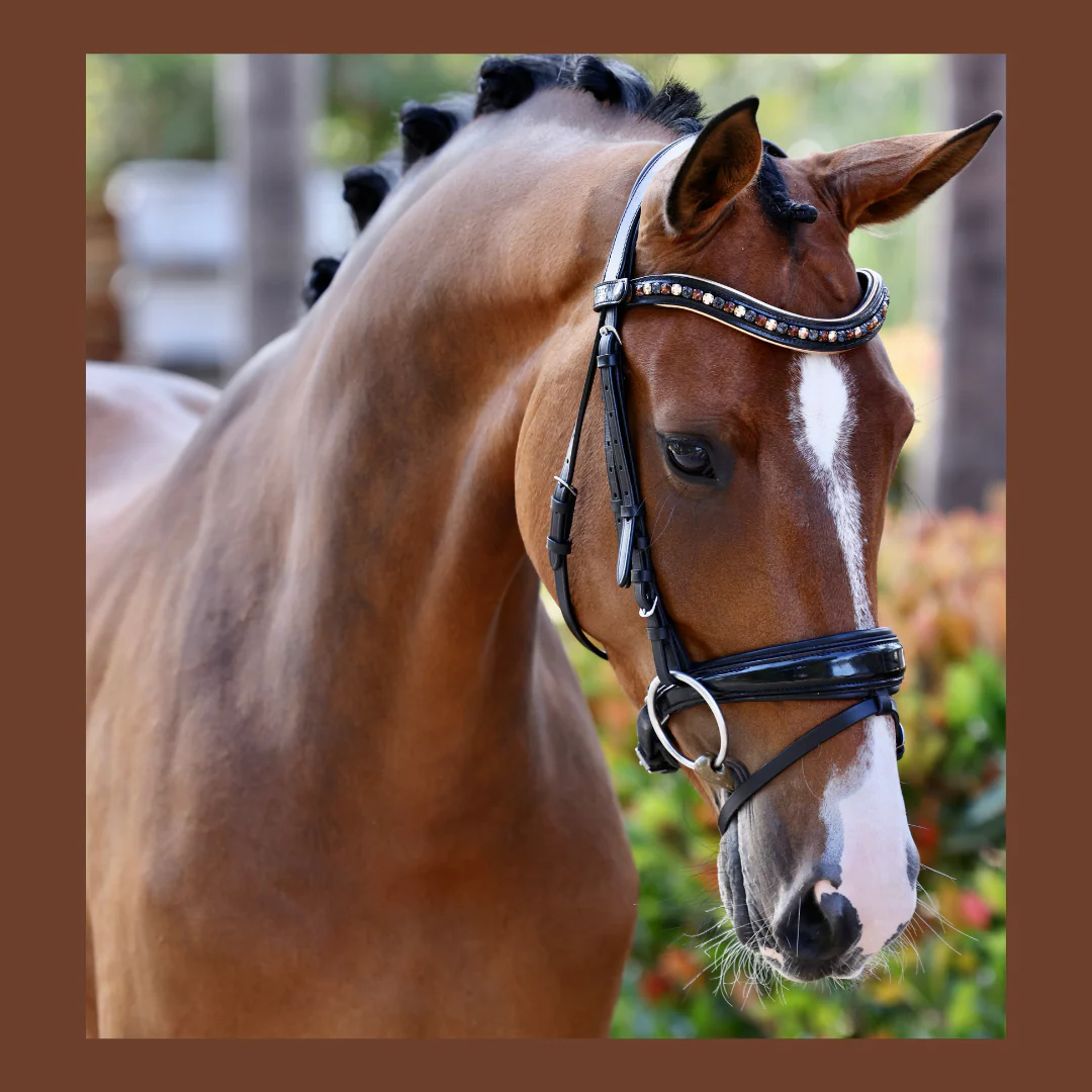 Lyamora Limited Edition Black Patent Snap Browband - Image 5