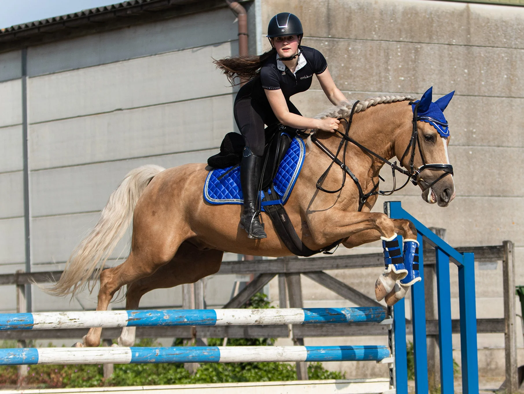 Majorelle Blue Saddle Pad - Image 4