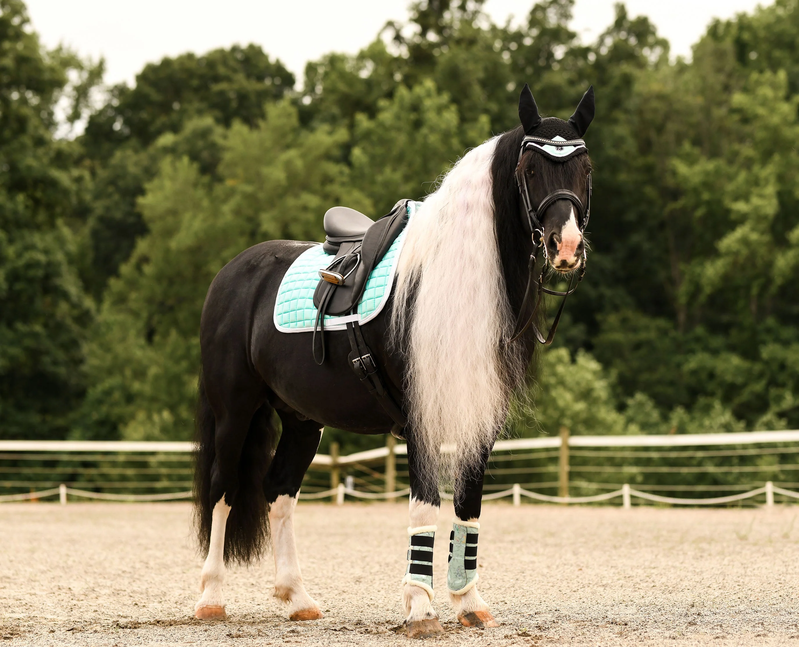 Marble Mint Brushing Boots - Image 5