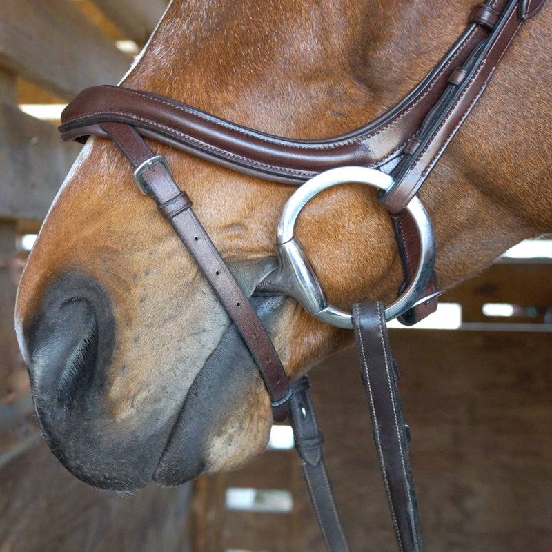 Nunn Finer Aformadi Flash Bridle - Image 3
