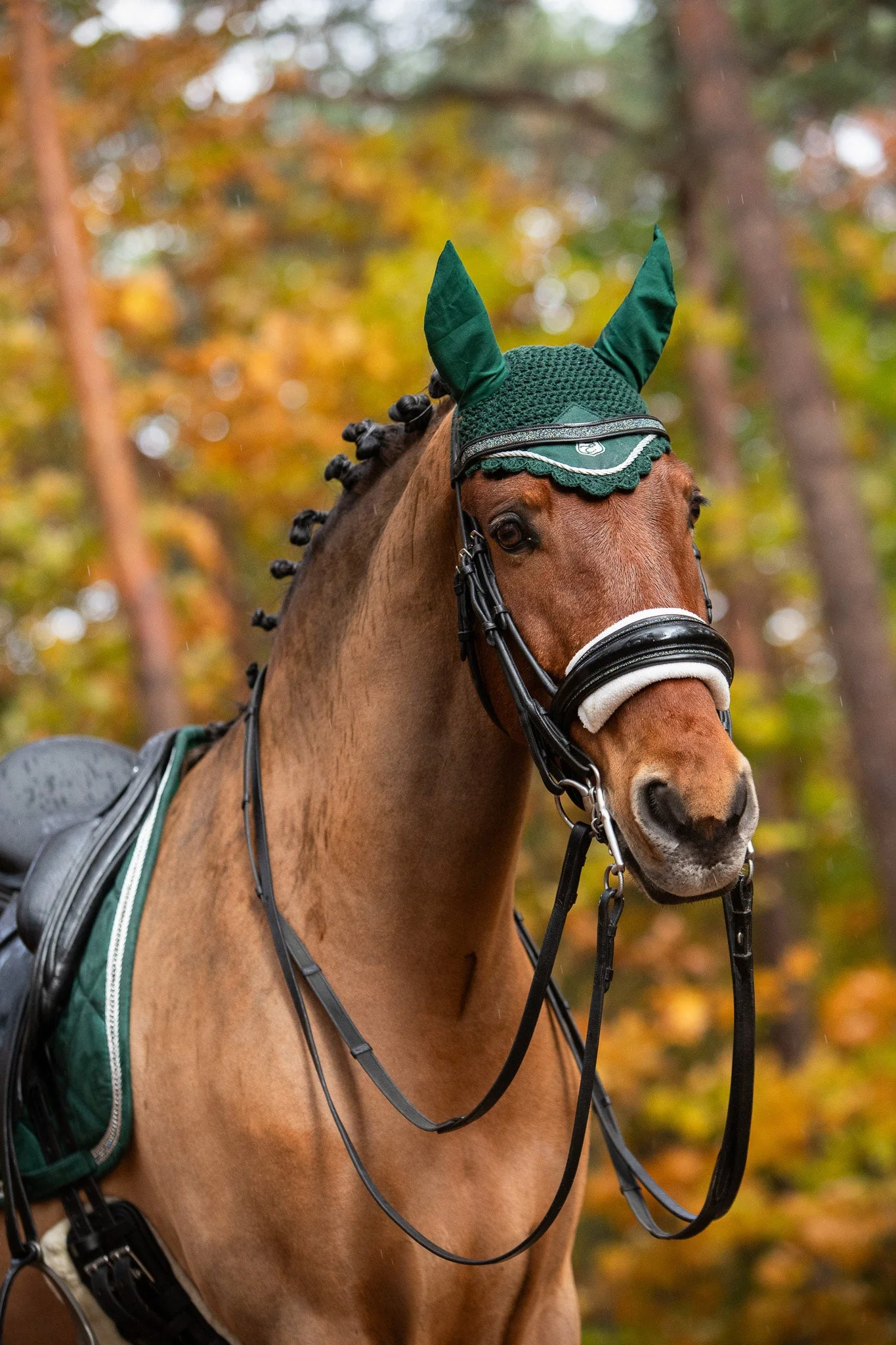 Pine Grove Fly Hat - Image 3