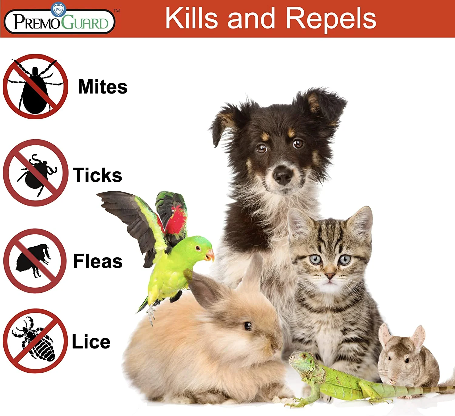 Plant Based All Natural Non-Toxic Flea & Tick Spray - Image 2
