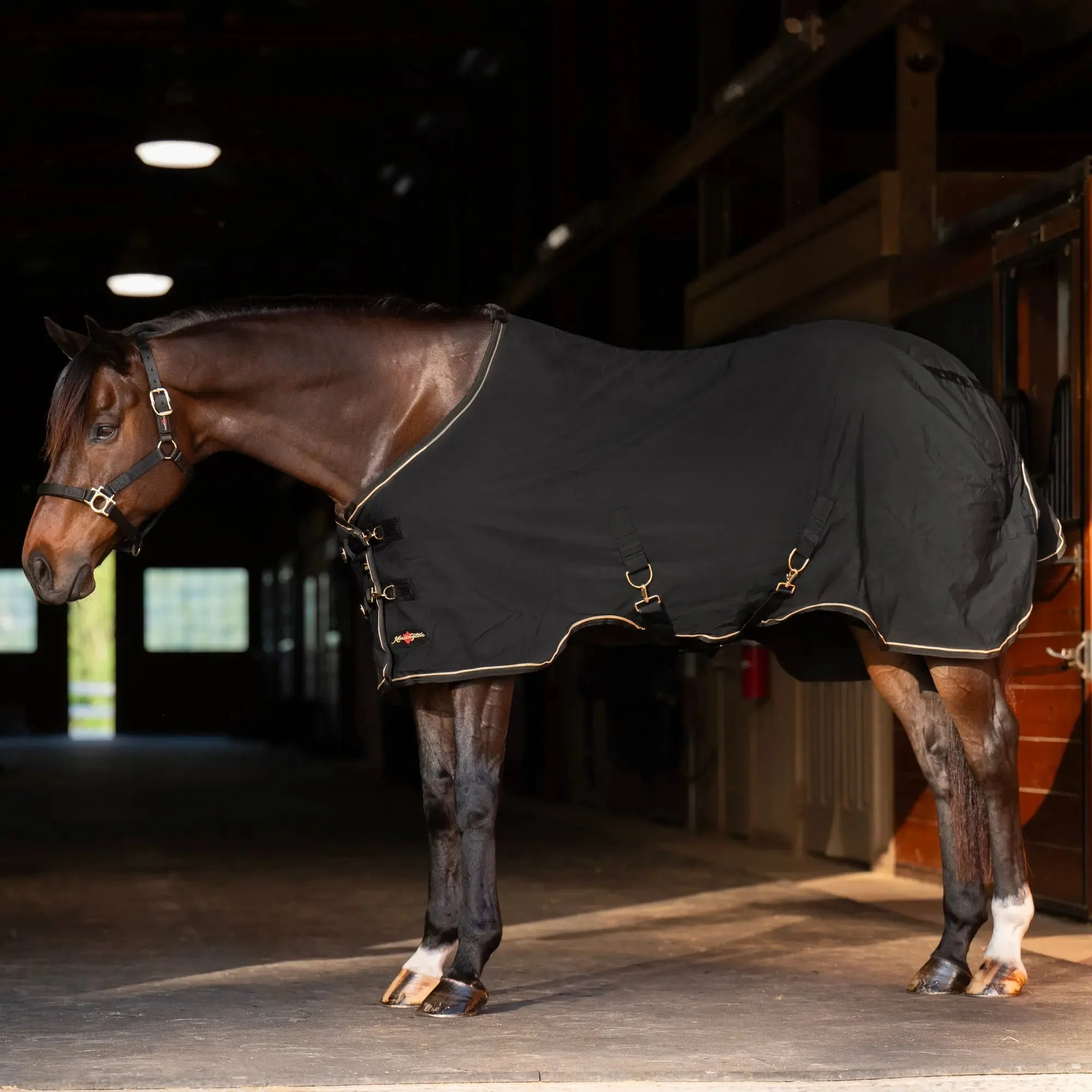 Poly Cotton Stable Sheet - Image 5