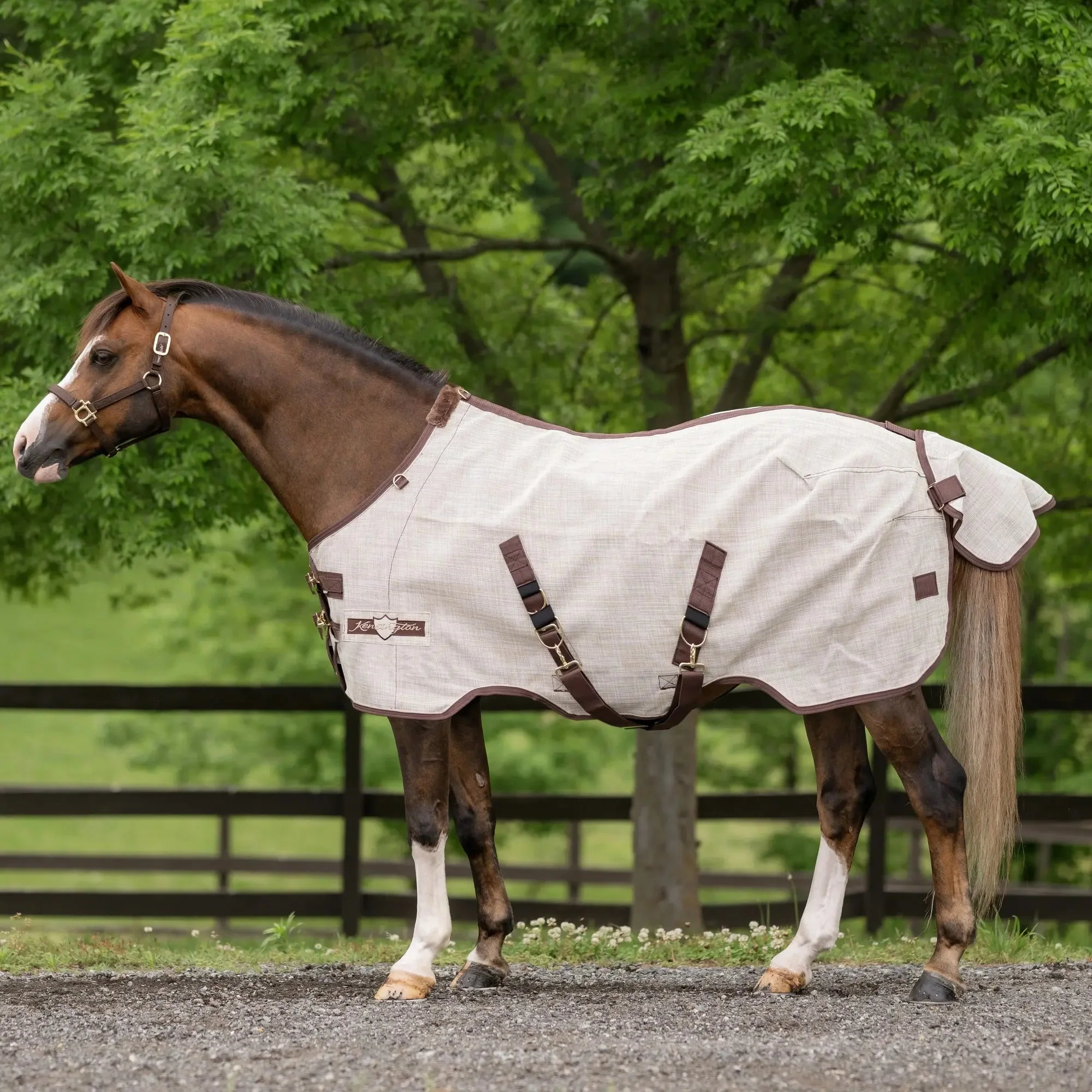 Pony Protective Fly Sheet with SureFit® - 73% UV Blocking - Image 5