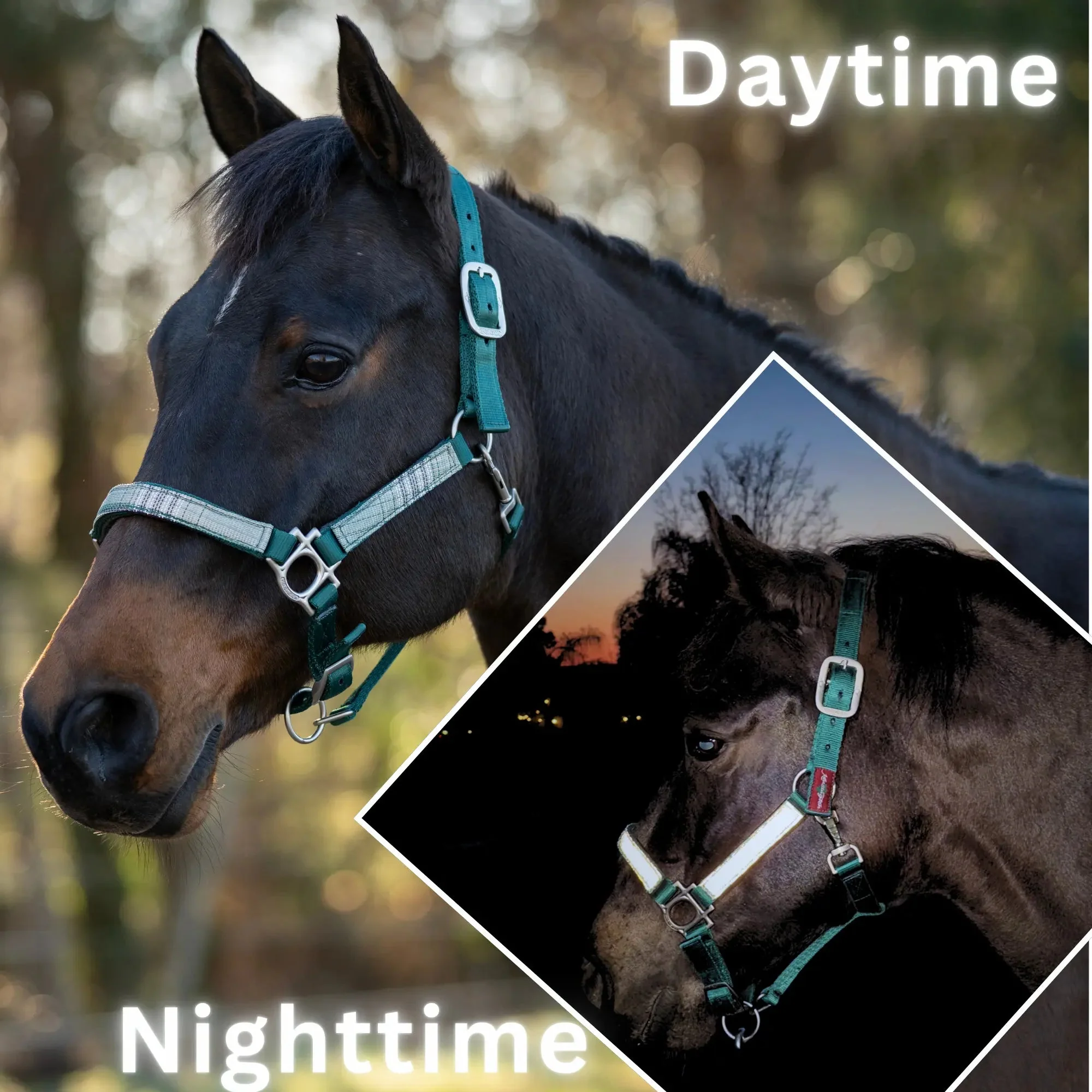 Premium Nylon Halter