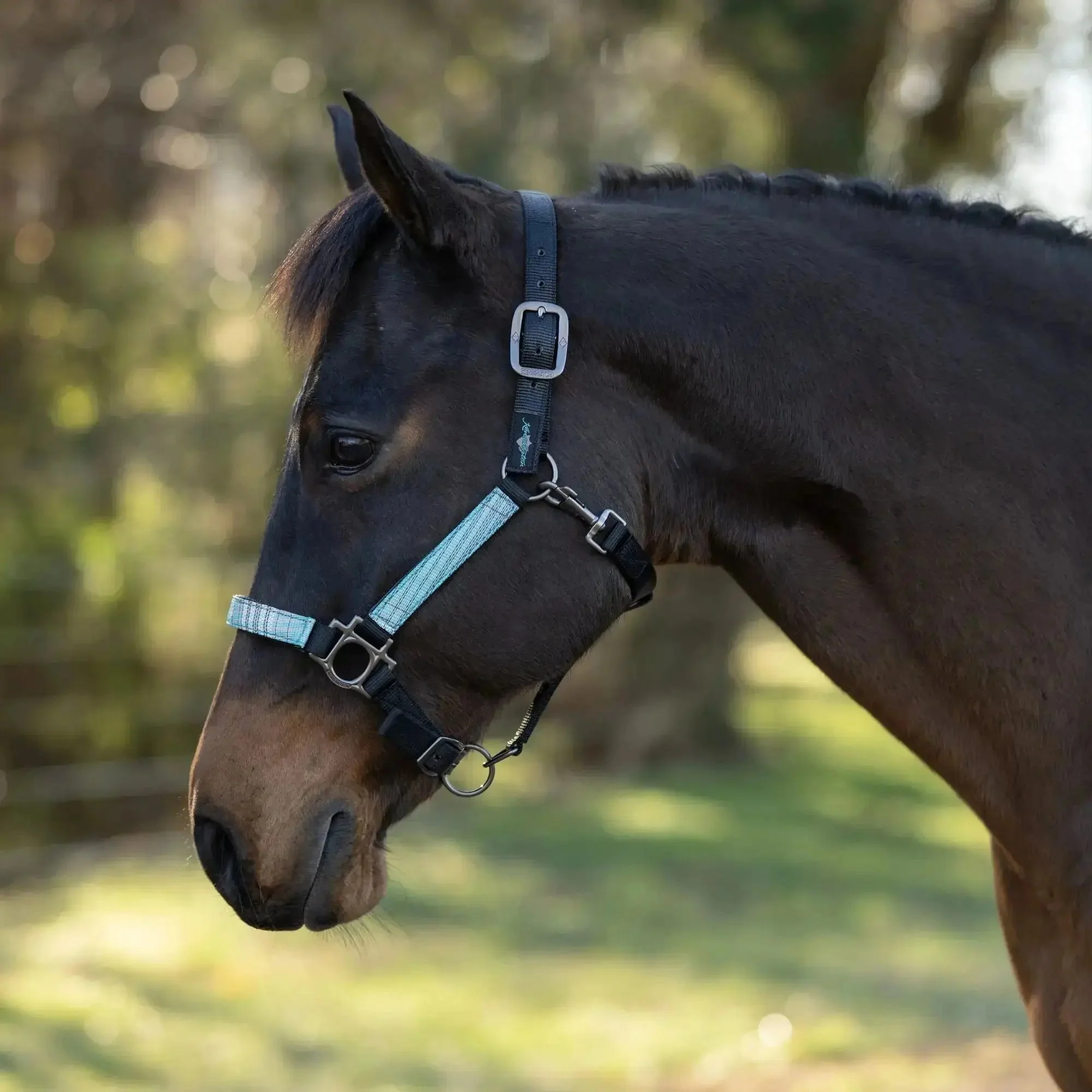 Premium Nylon Halter - Image 3