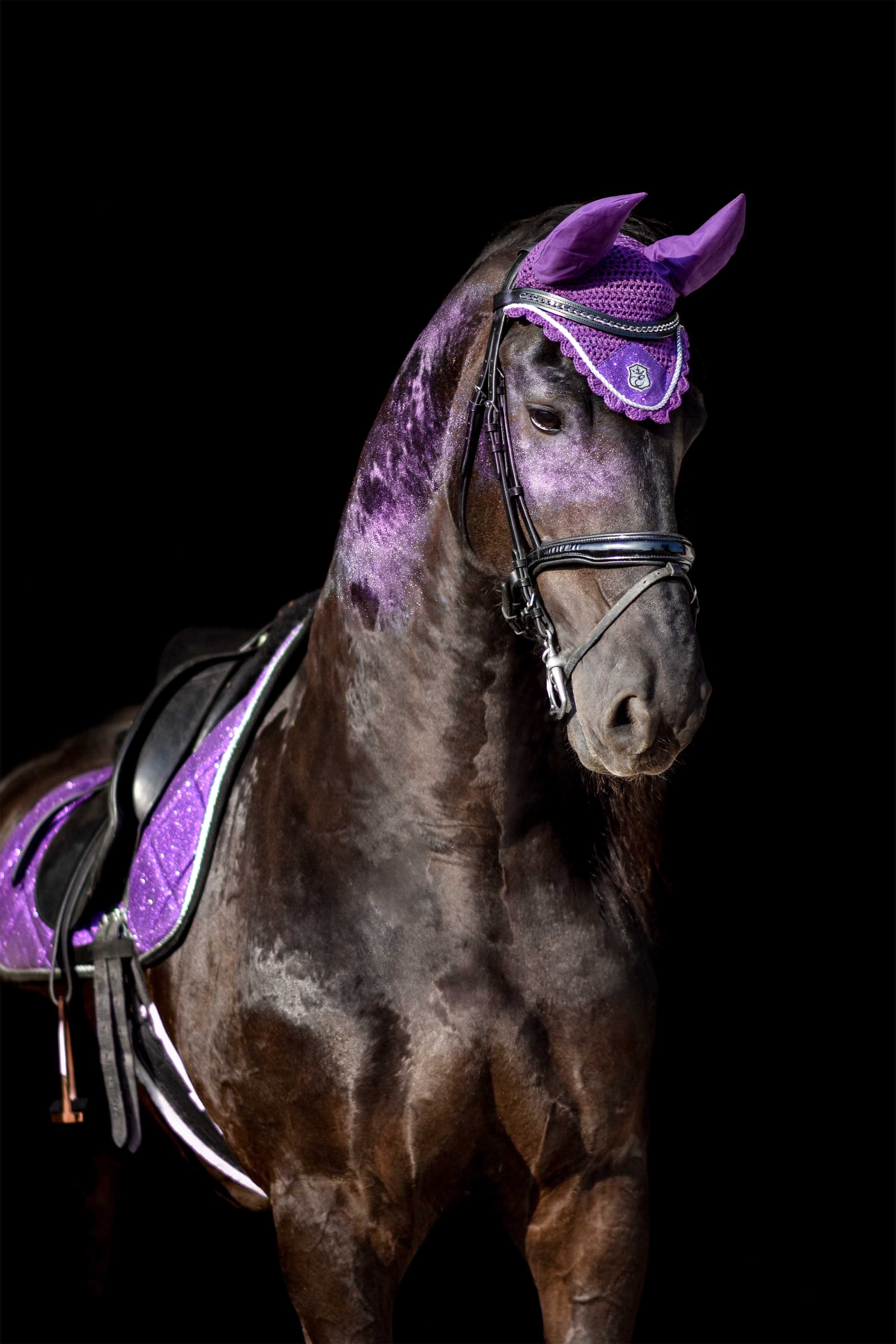 Purple Amethyst Fly Hat - Image 4