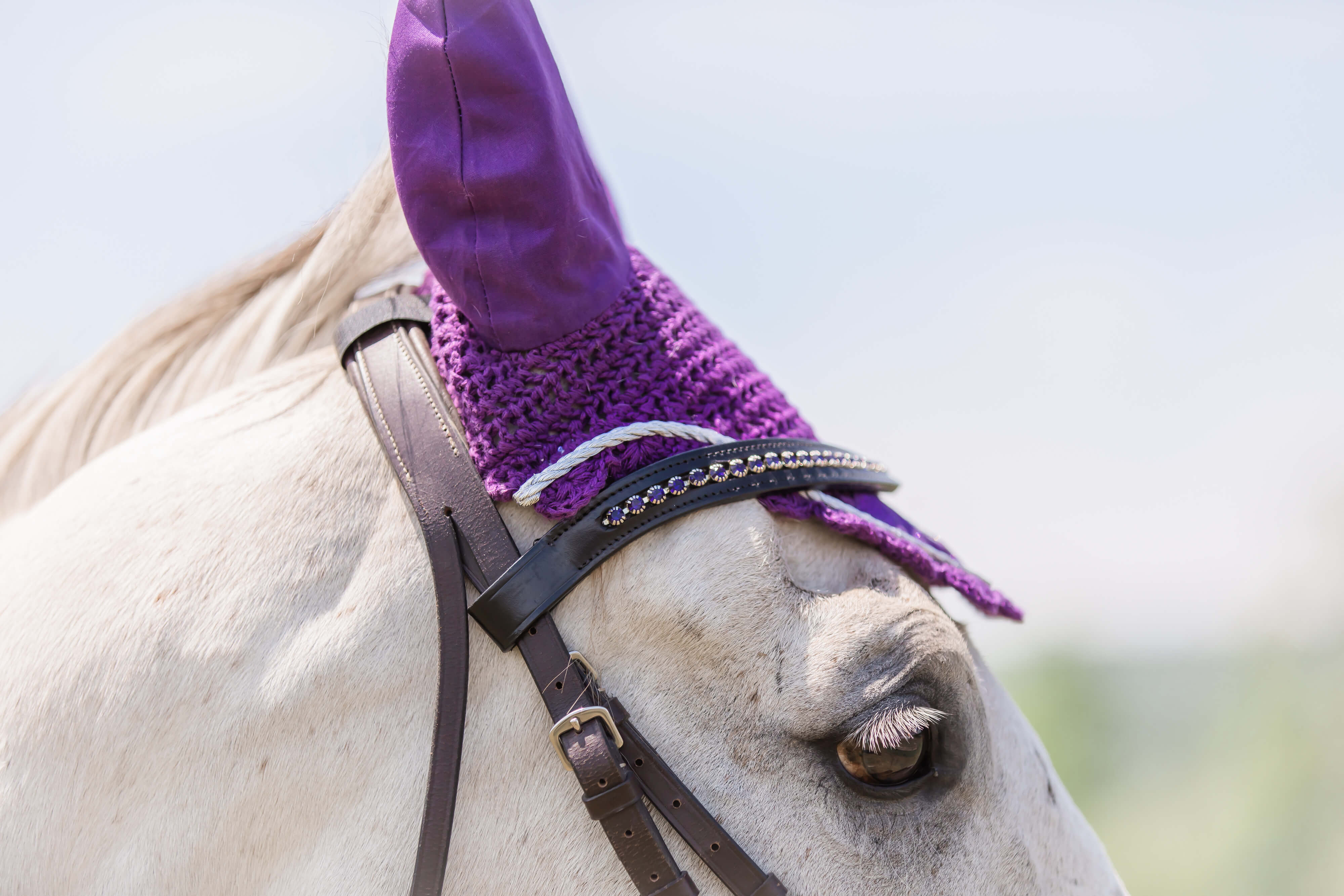 Purple Amethyst Fly Hat - Image 5