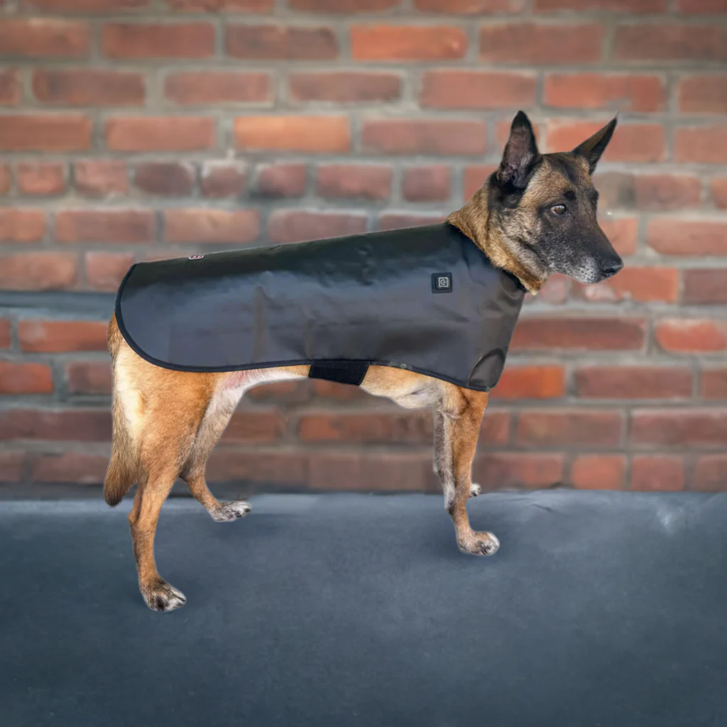 Redline Dog Wrap- Large - Image 2