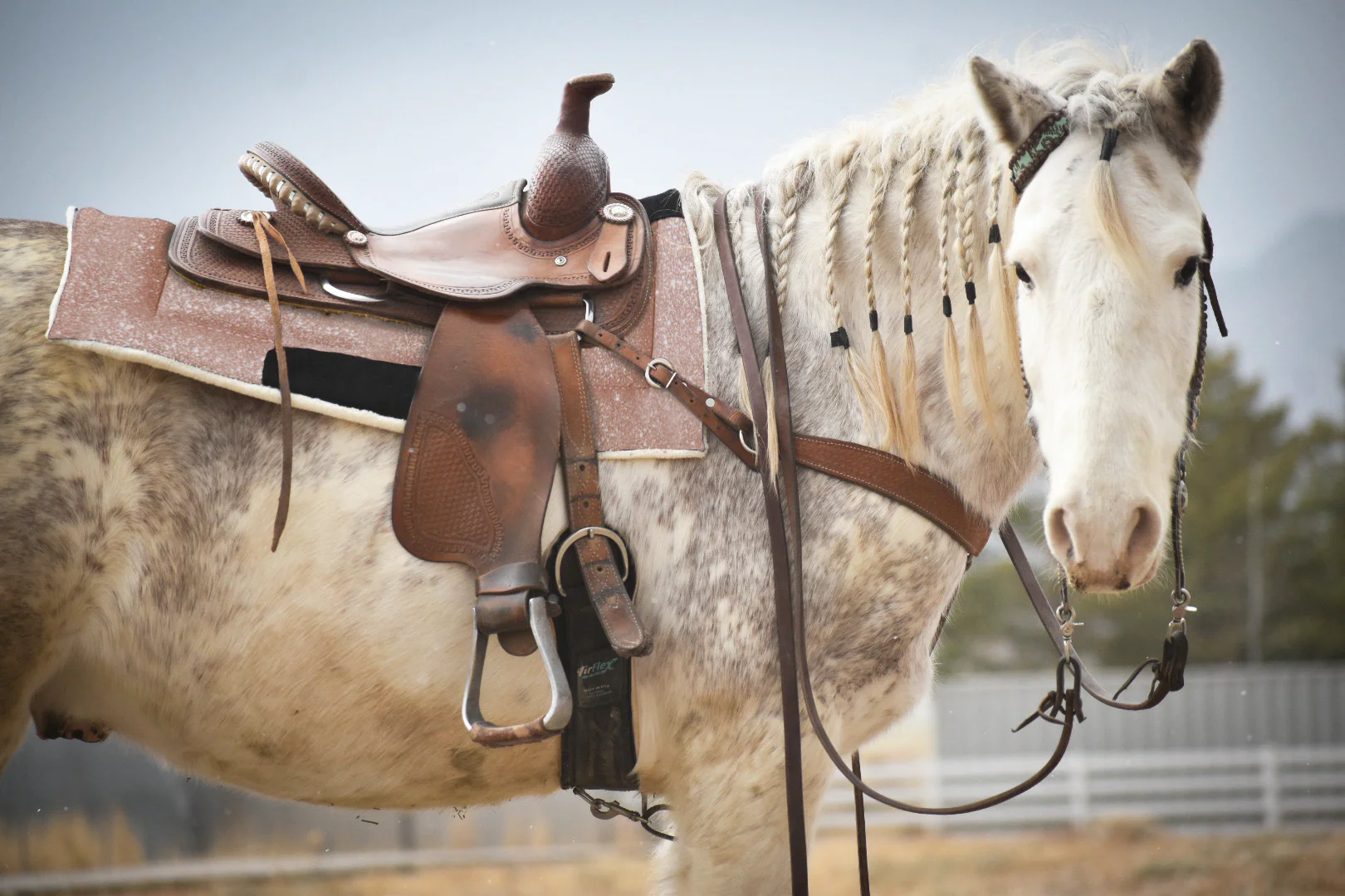 Rose Quartz Western Saddle Pad - Image 4