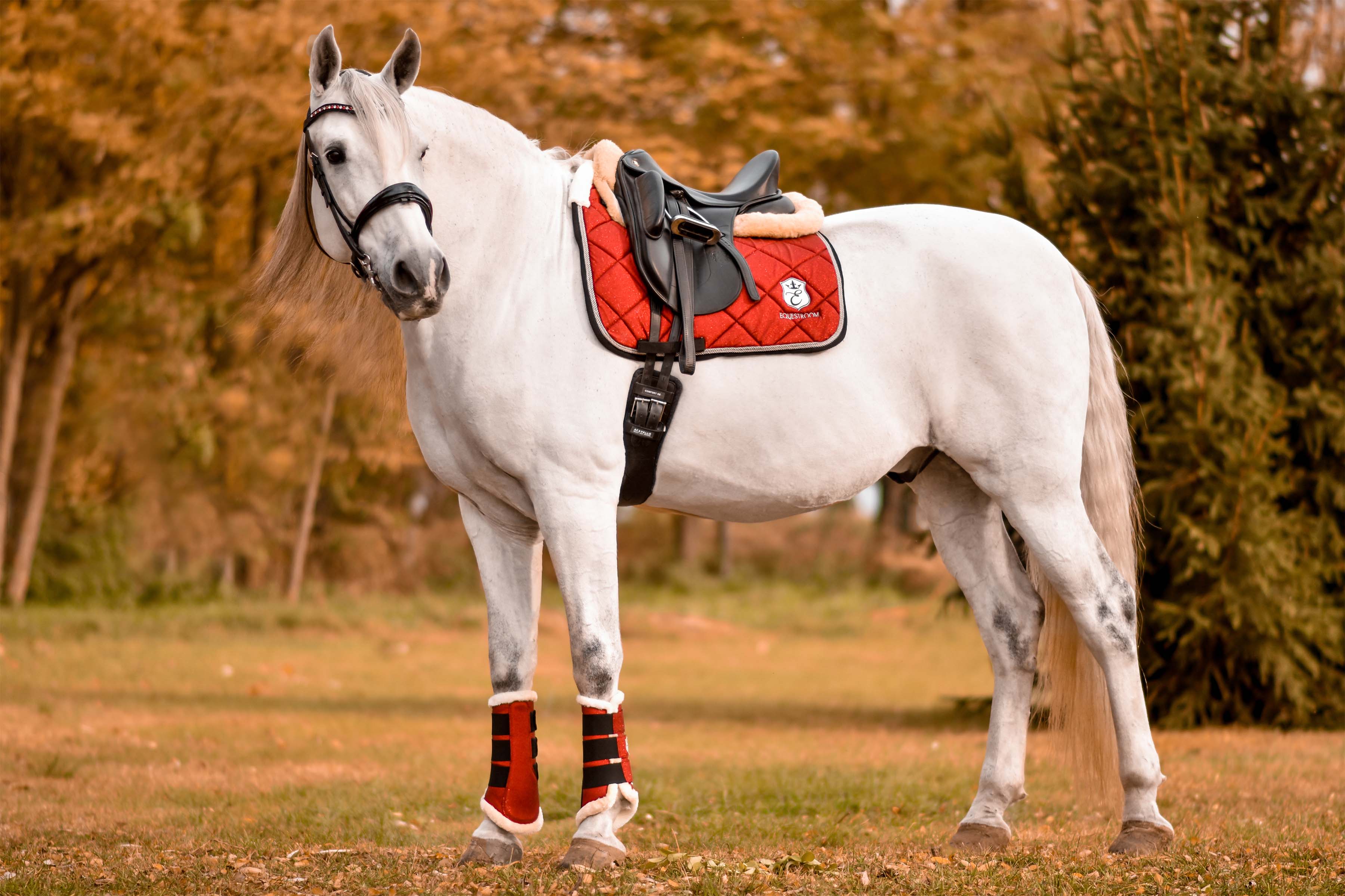 Scarlet Red Brushing Boots - Image 3