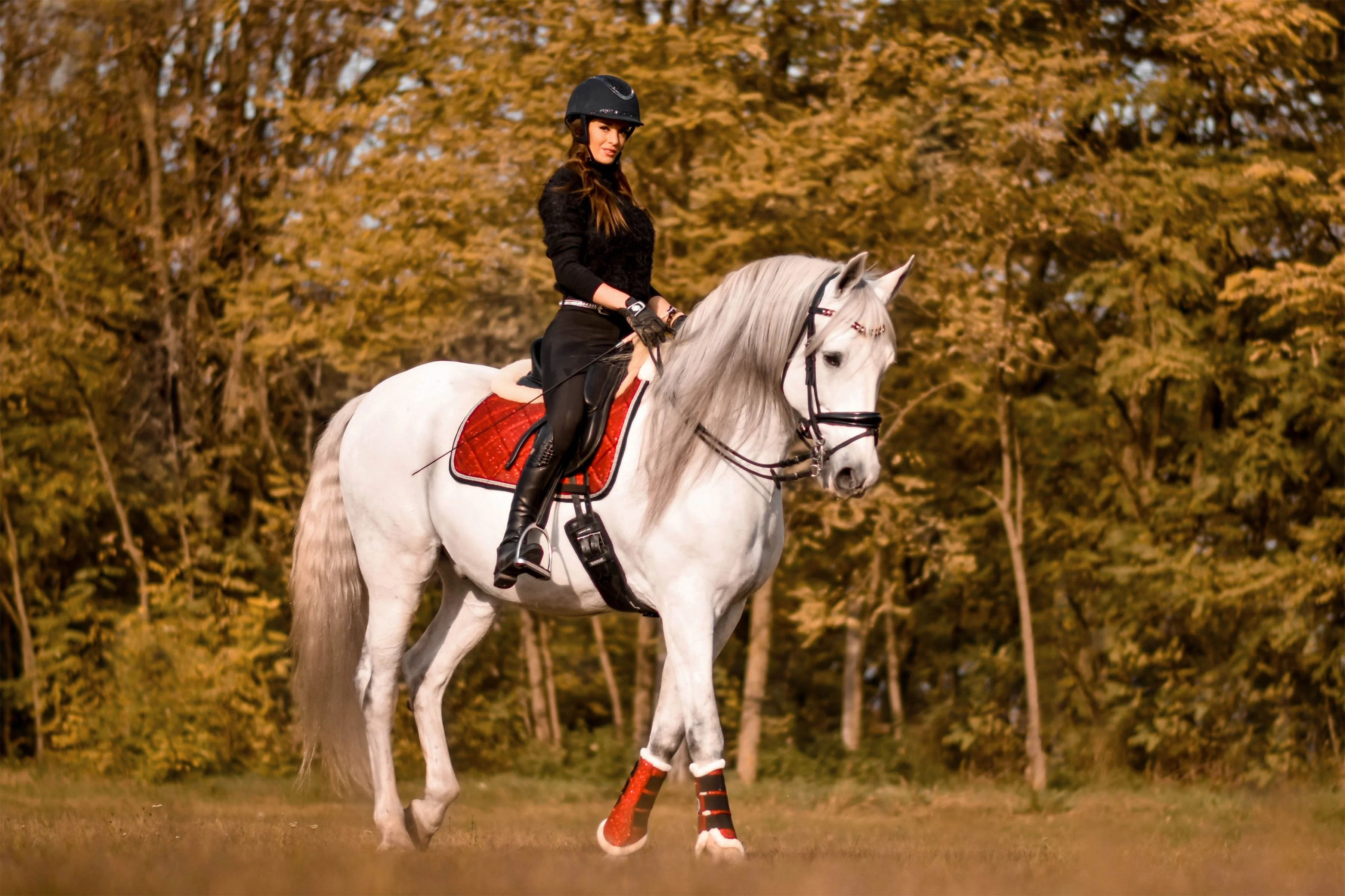 Scarlet Red Brushing Boots - Image 4