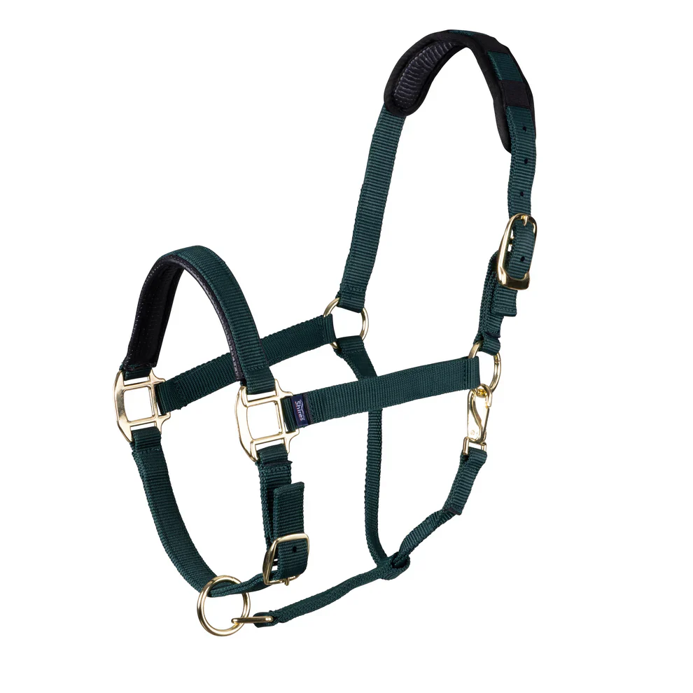 Shires Topaz Comfort Breakaway Halter - Image 4