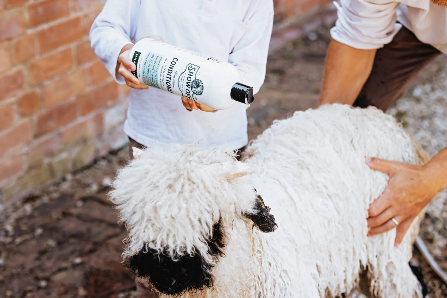Show Off That Shine Conditioner - Image 3