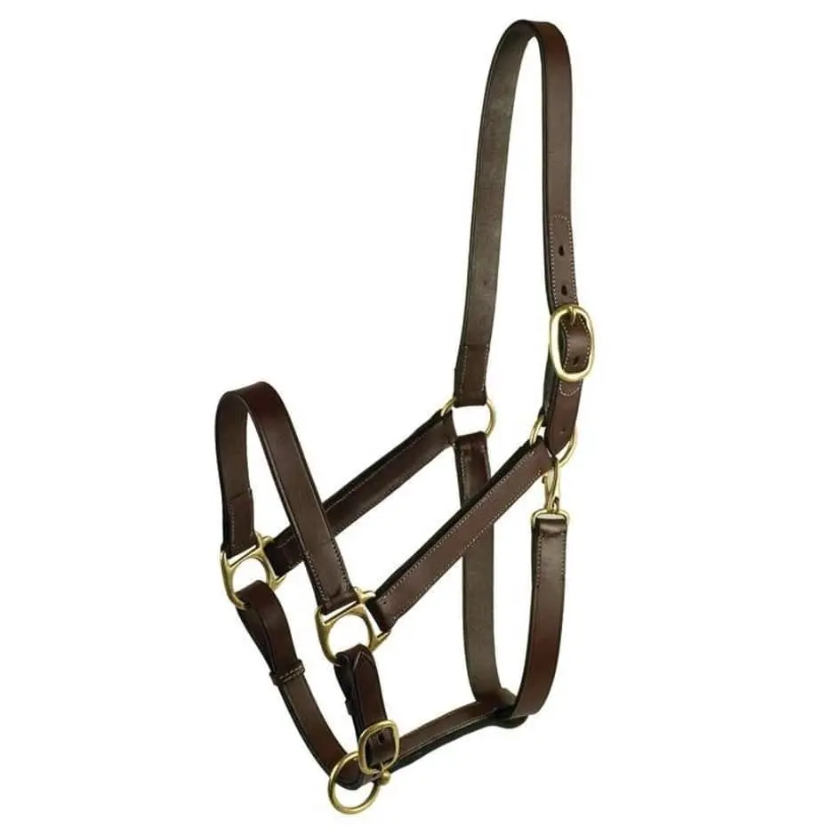 Stable Halter With Snap - Image 4