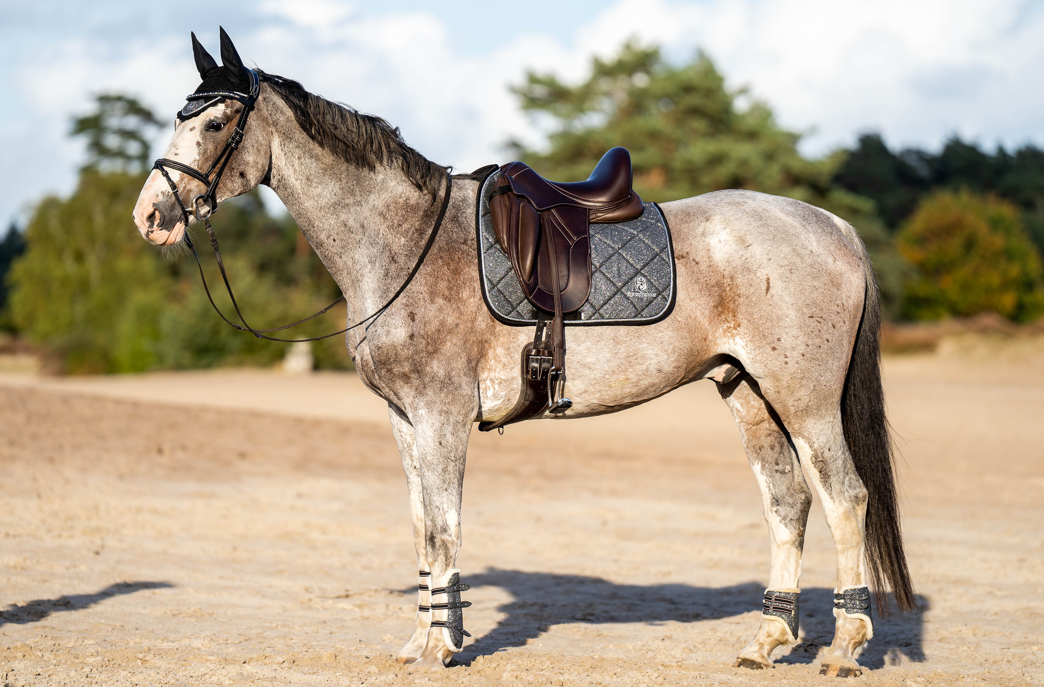 Stardust Grey Saddle Pad Set - Image 2