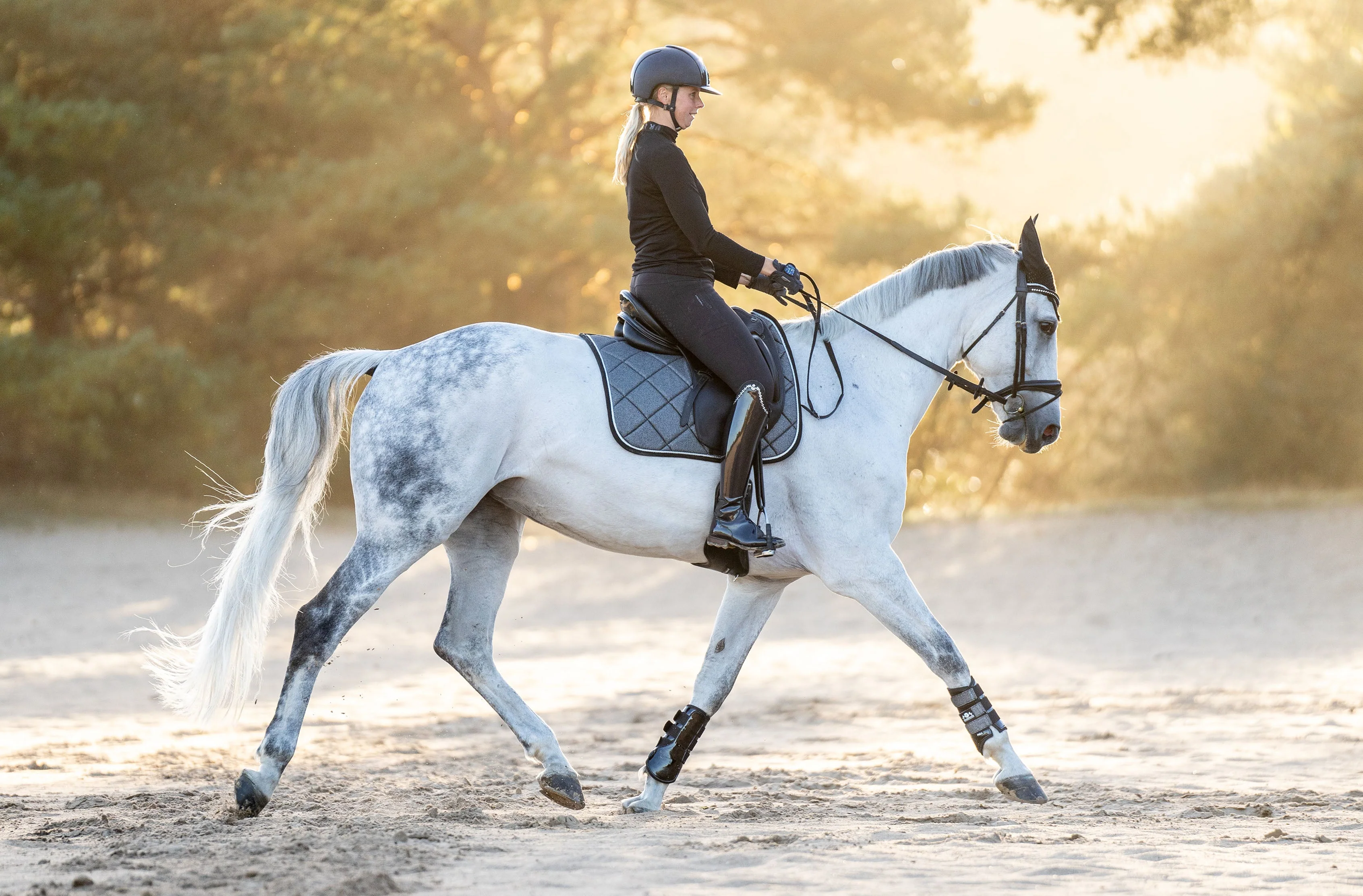 Stardust Grey Saddle Pad Set - Image 6