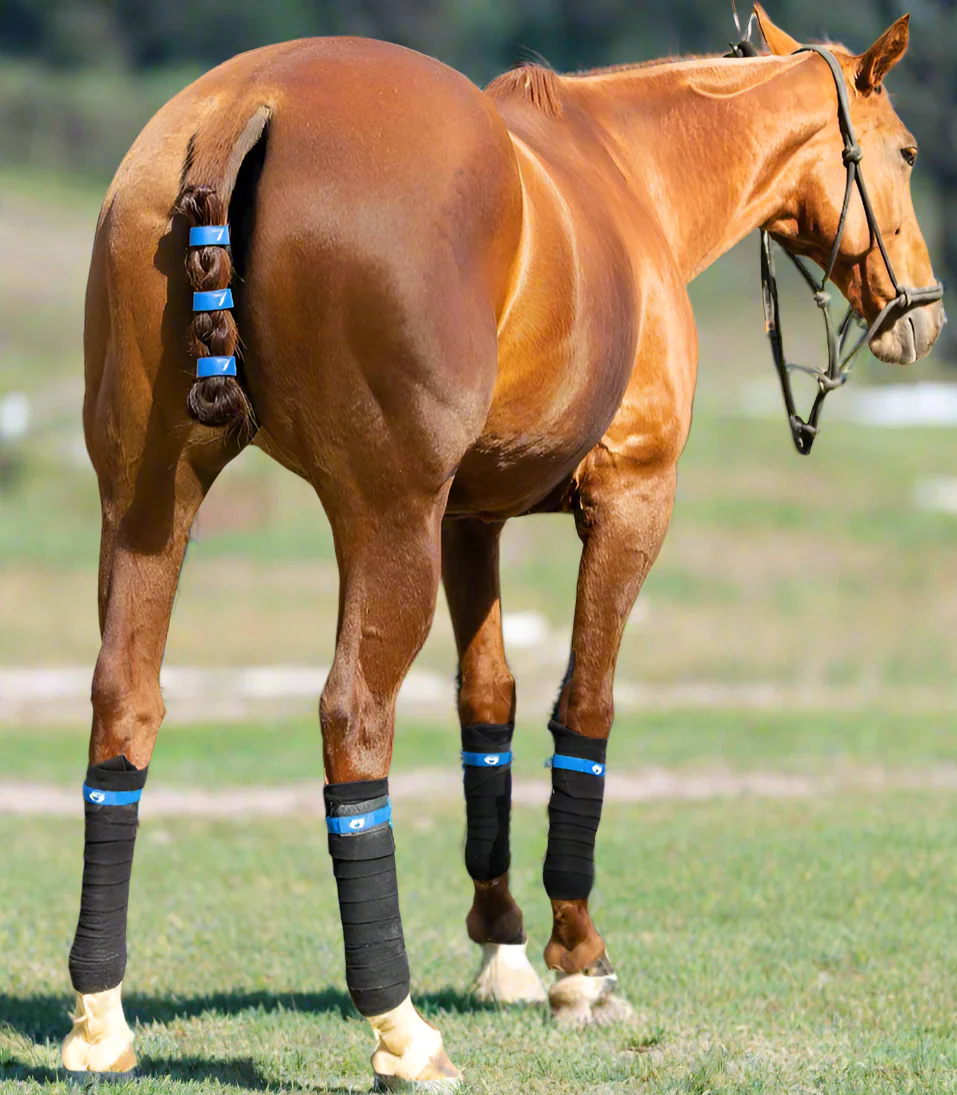 TailCinch™  Equine Tail Ties (Original) - Image 31