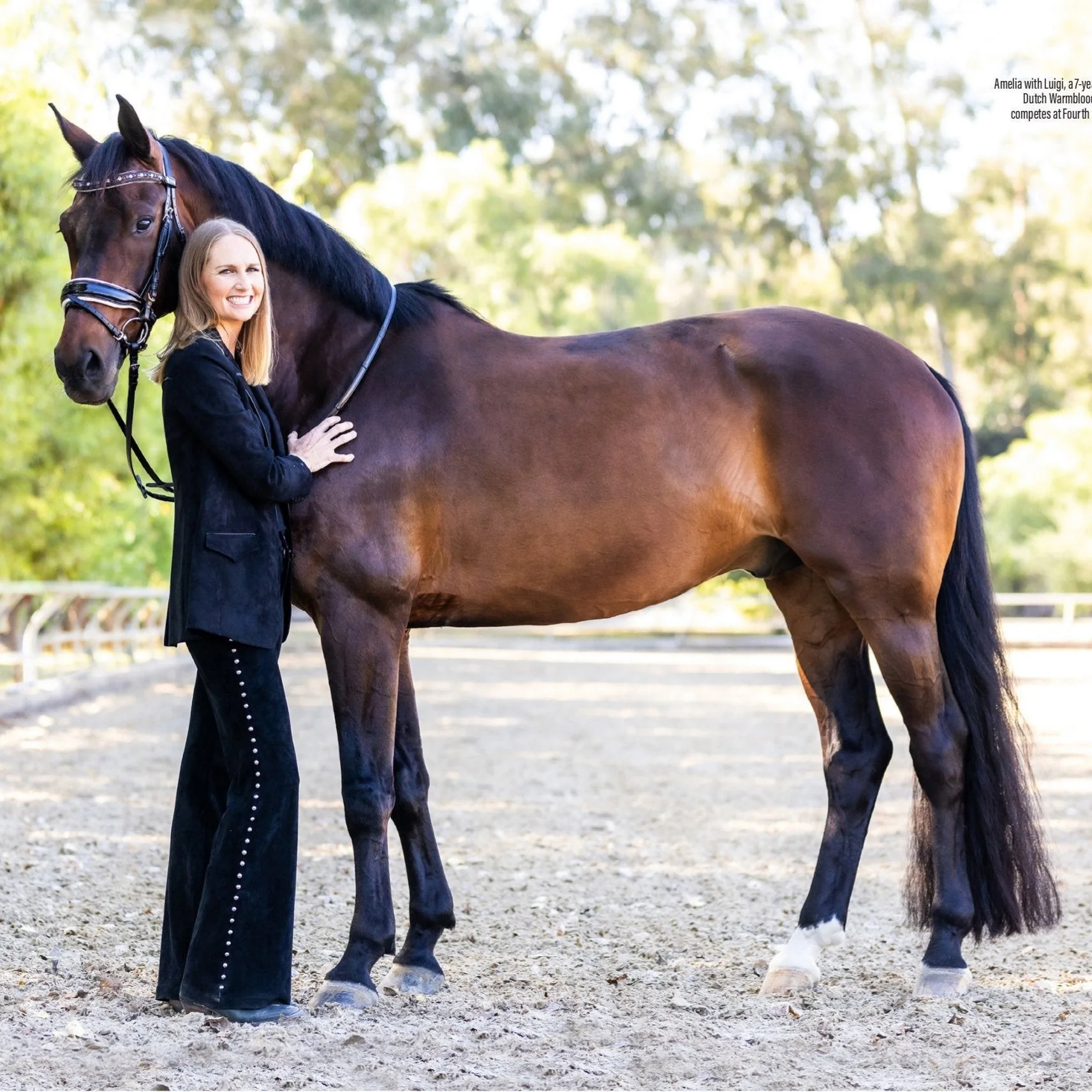 Taos Black Patent Leather Snaffle Bridle - Image 2