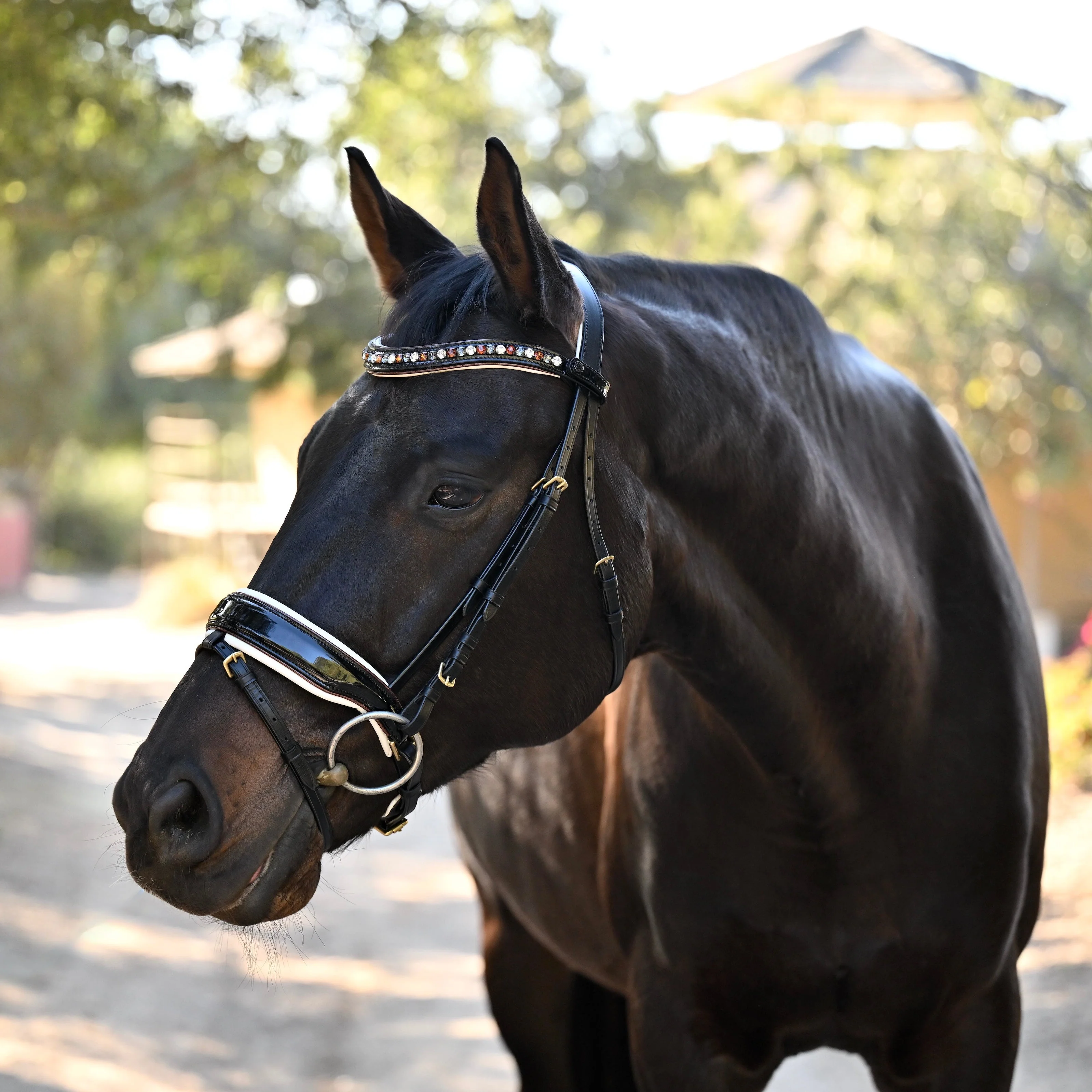 Taos Black Patent Leather Snaffle Bridle - Image 5