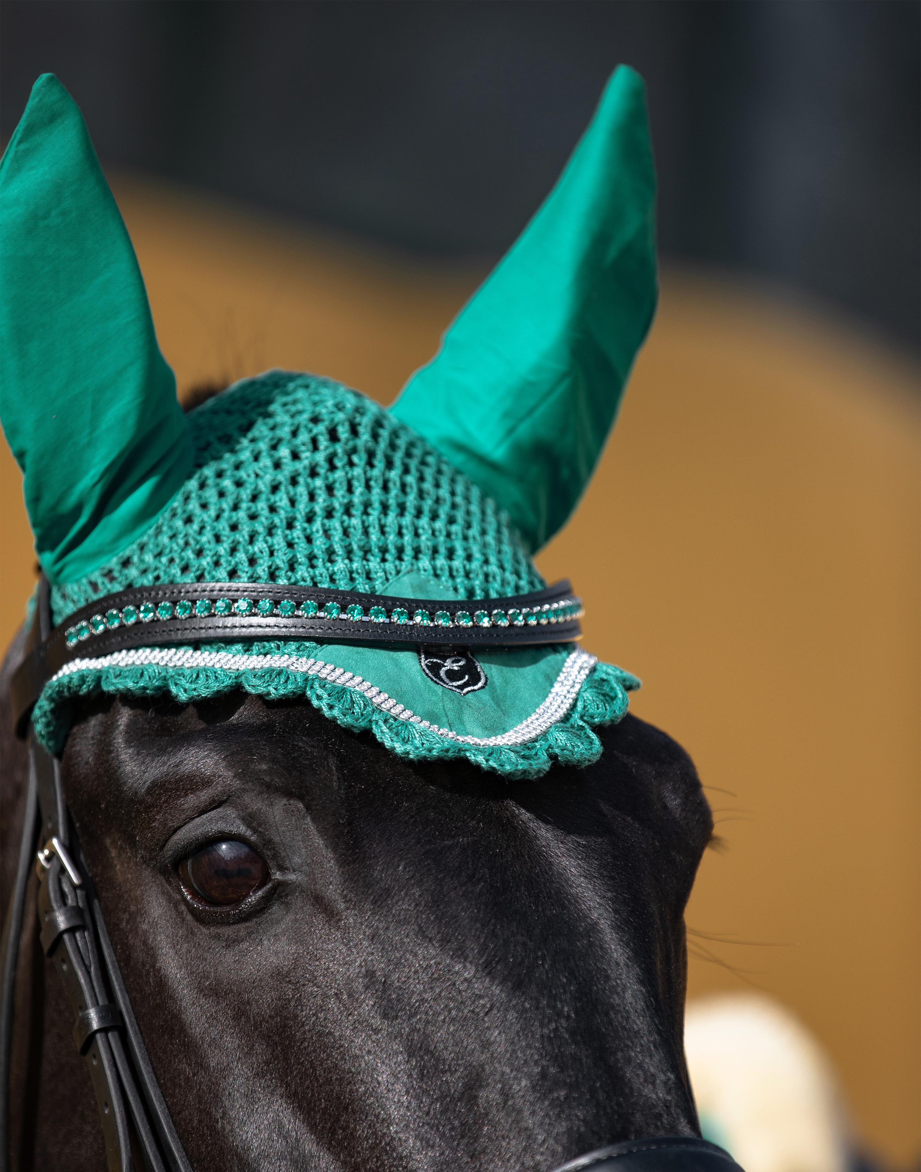 Teal Browband - Image 3