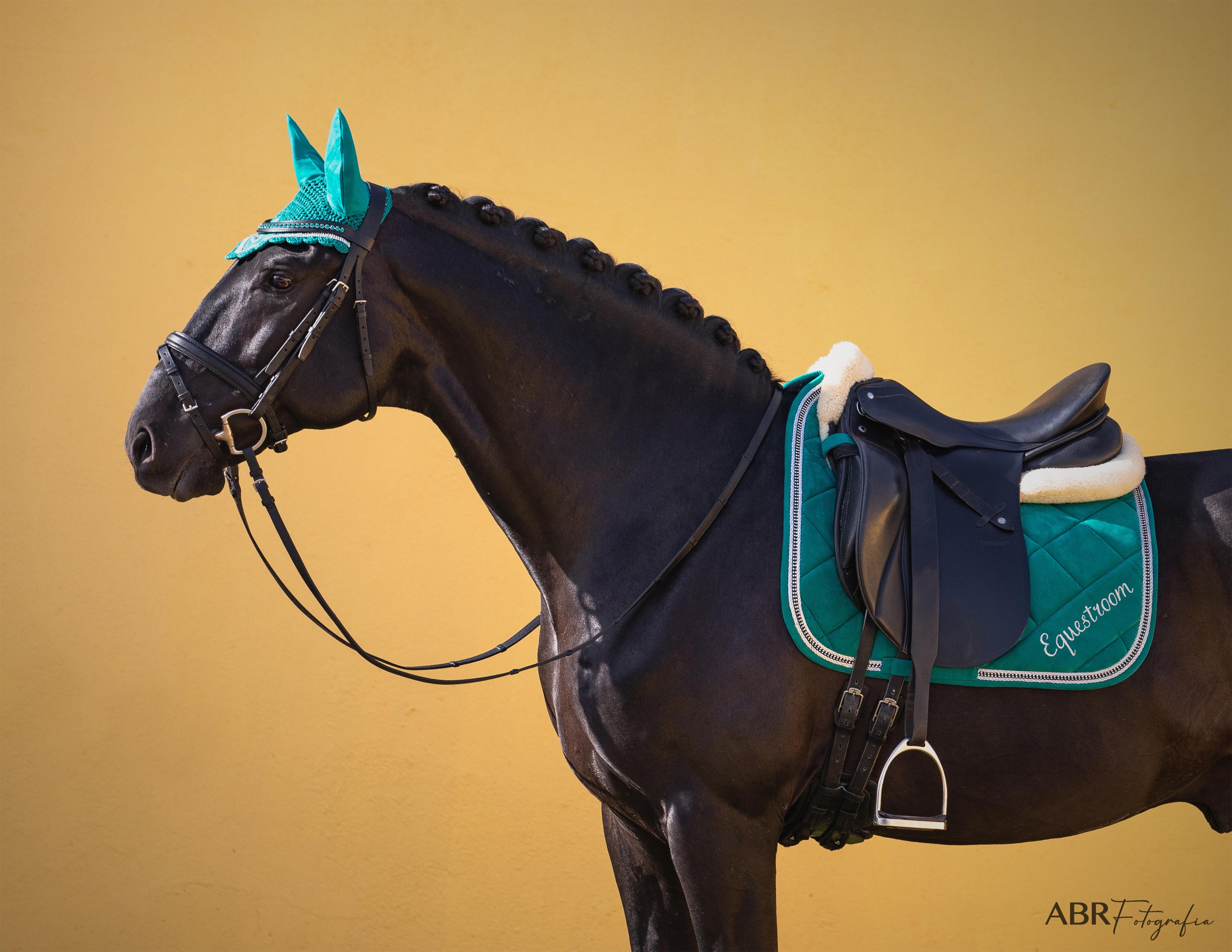 Teal Saddle Pad - Image 5