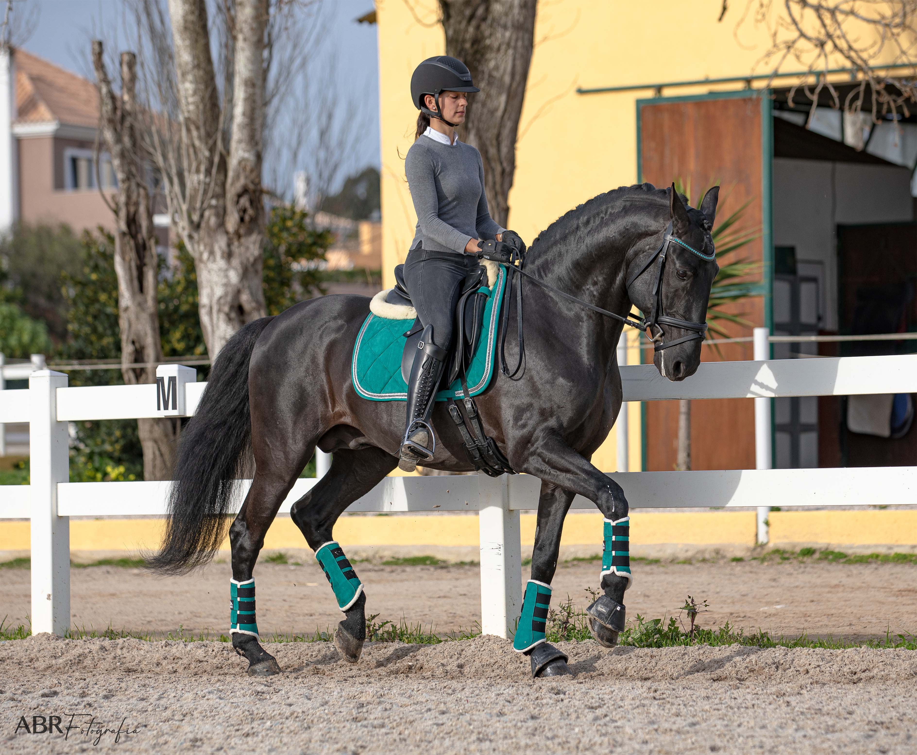 Teal Saddle Pad - Image 8