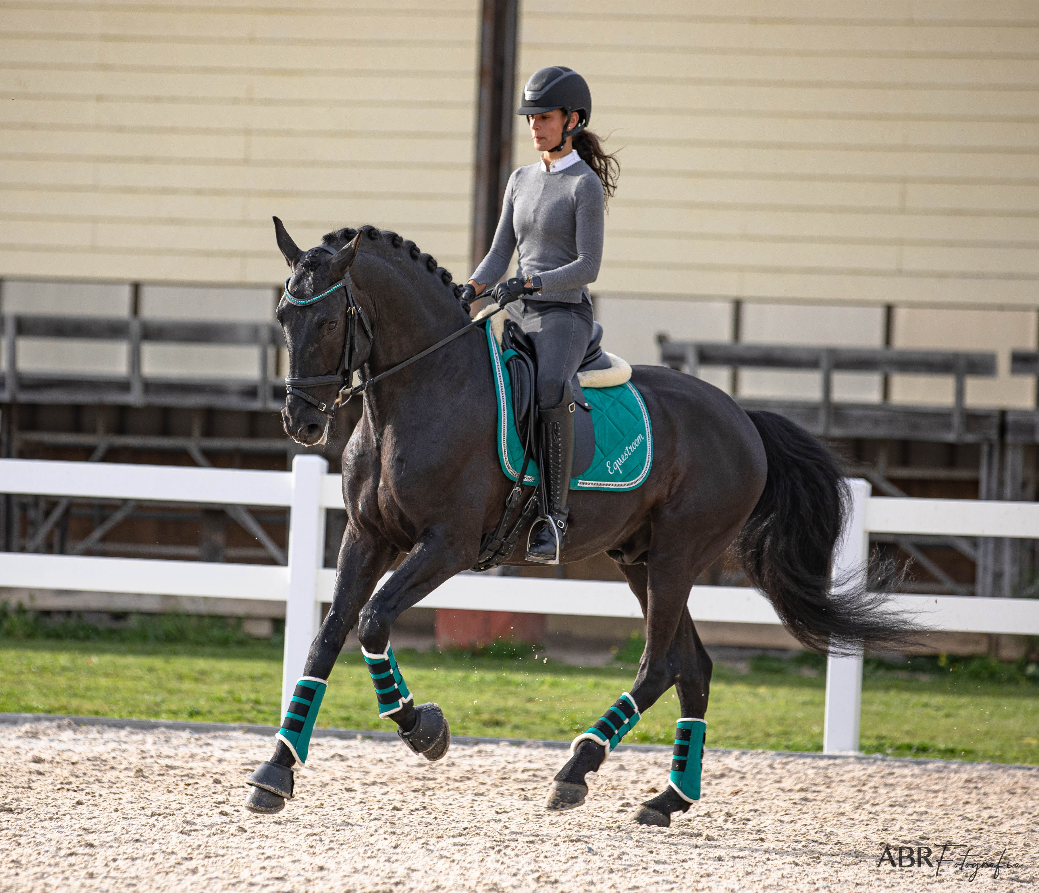 Teal Saddle Pad Set - Image 10