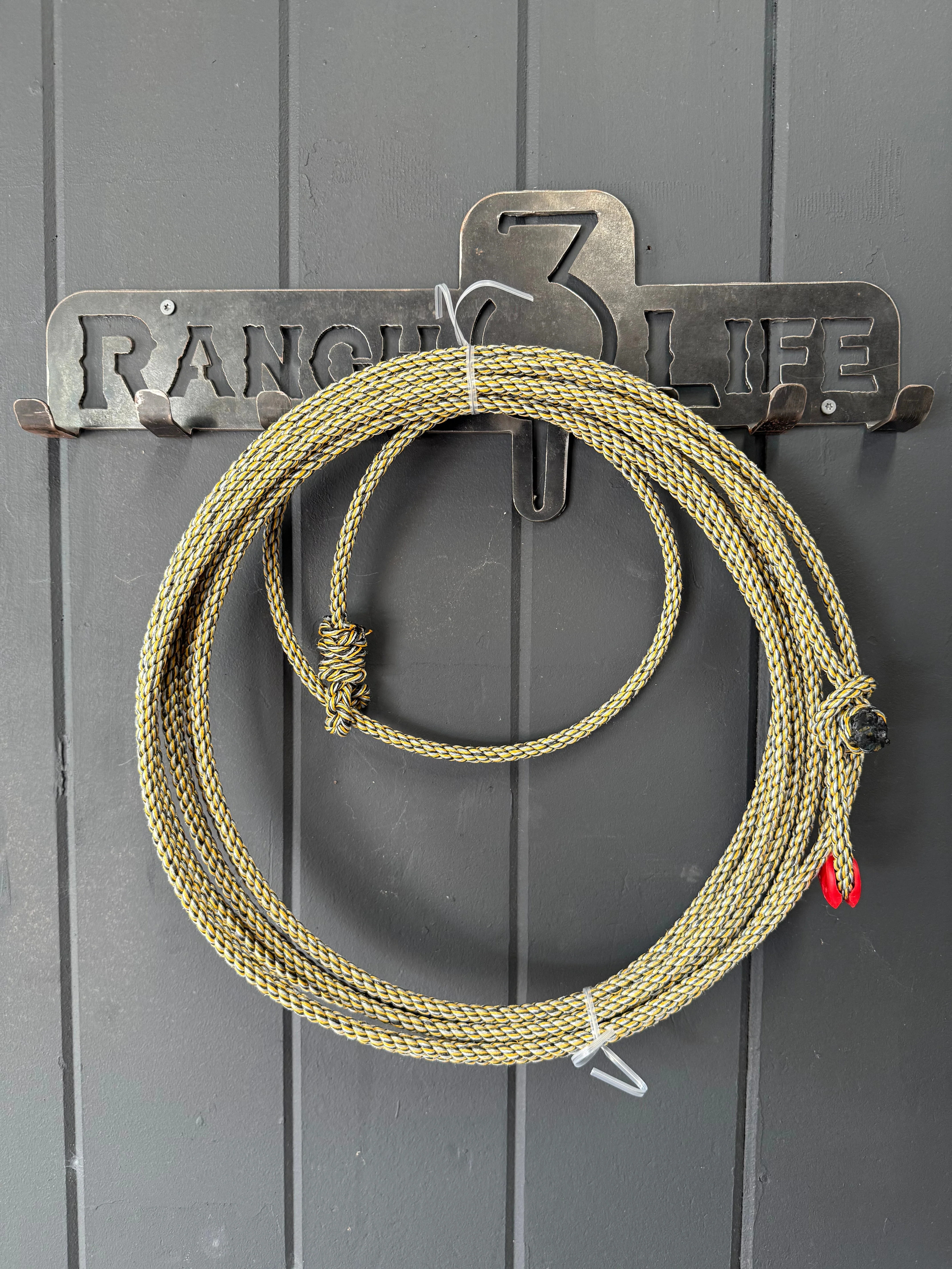The 310 Fully Committed - Image 6