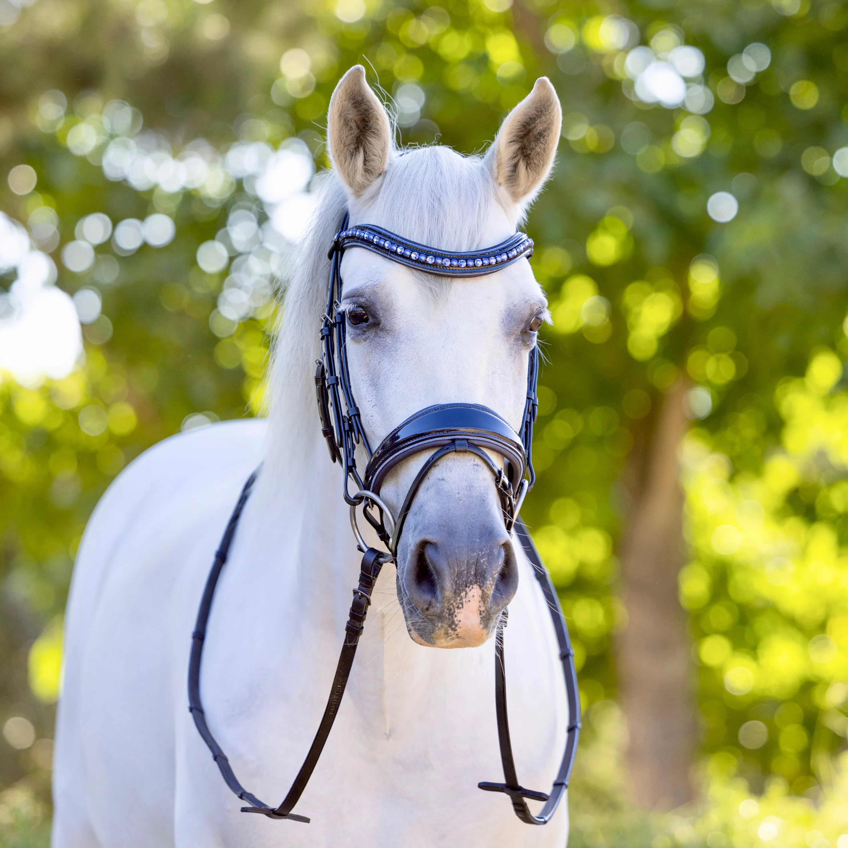 The Bluebell - Navy Patent Leather Snaffle Bridle with REMOVABLE FLASH - Image 2