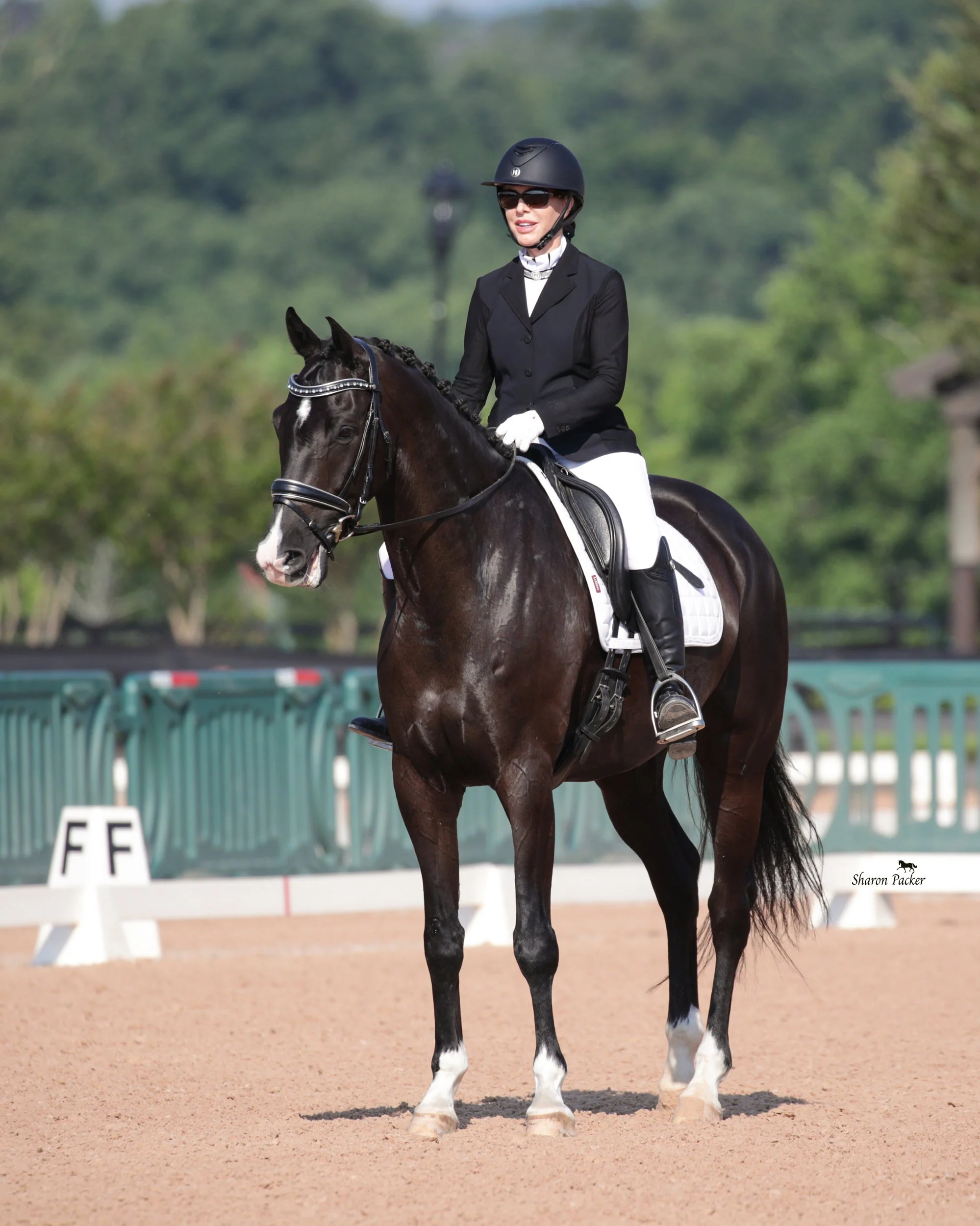 The Eiffel Tower Black Leather Dressage Bridle - Image 9