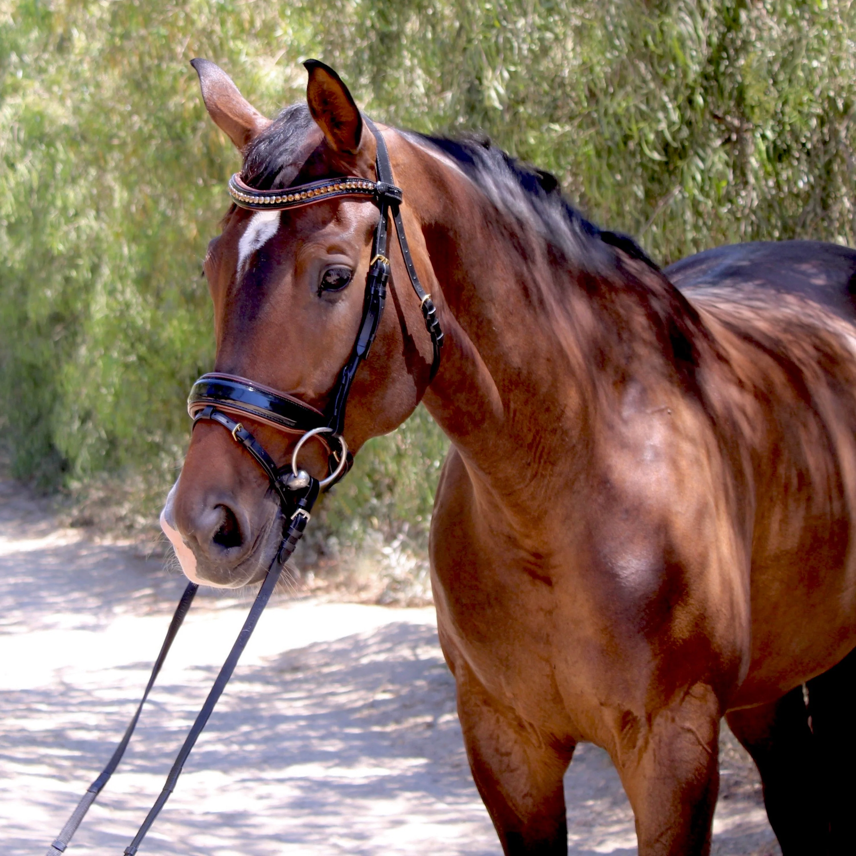 The Palermo Black Patent Leather Snaffle with Brown Padding - Image 4