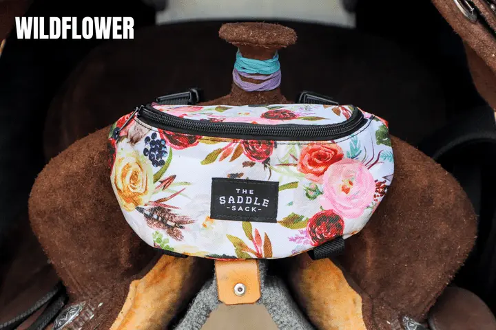 The Saddle Sack - Image 2