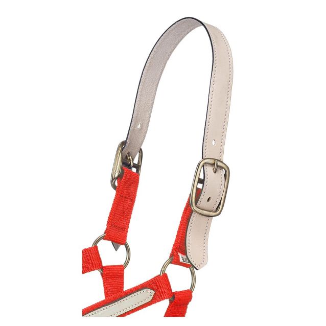 Tough1 Single Ply Leather Crown Replacement Strap