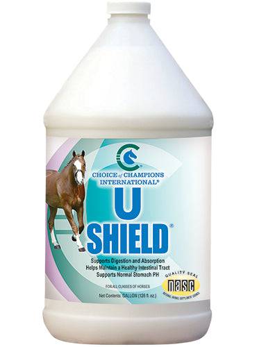 U Shield - Image 4