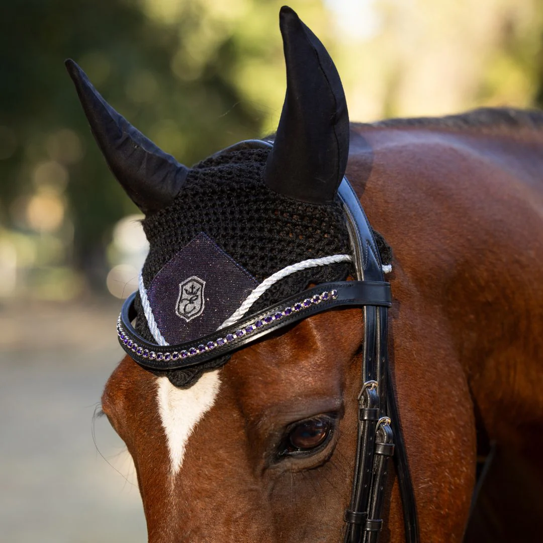 Ultraviolet Browband - Image 11