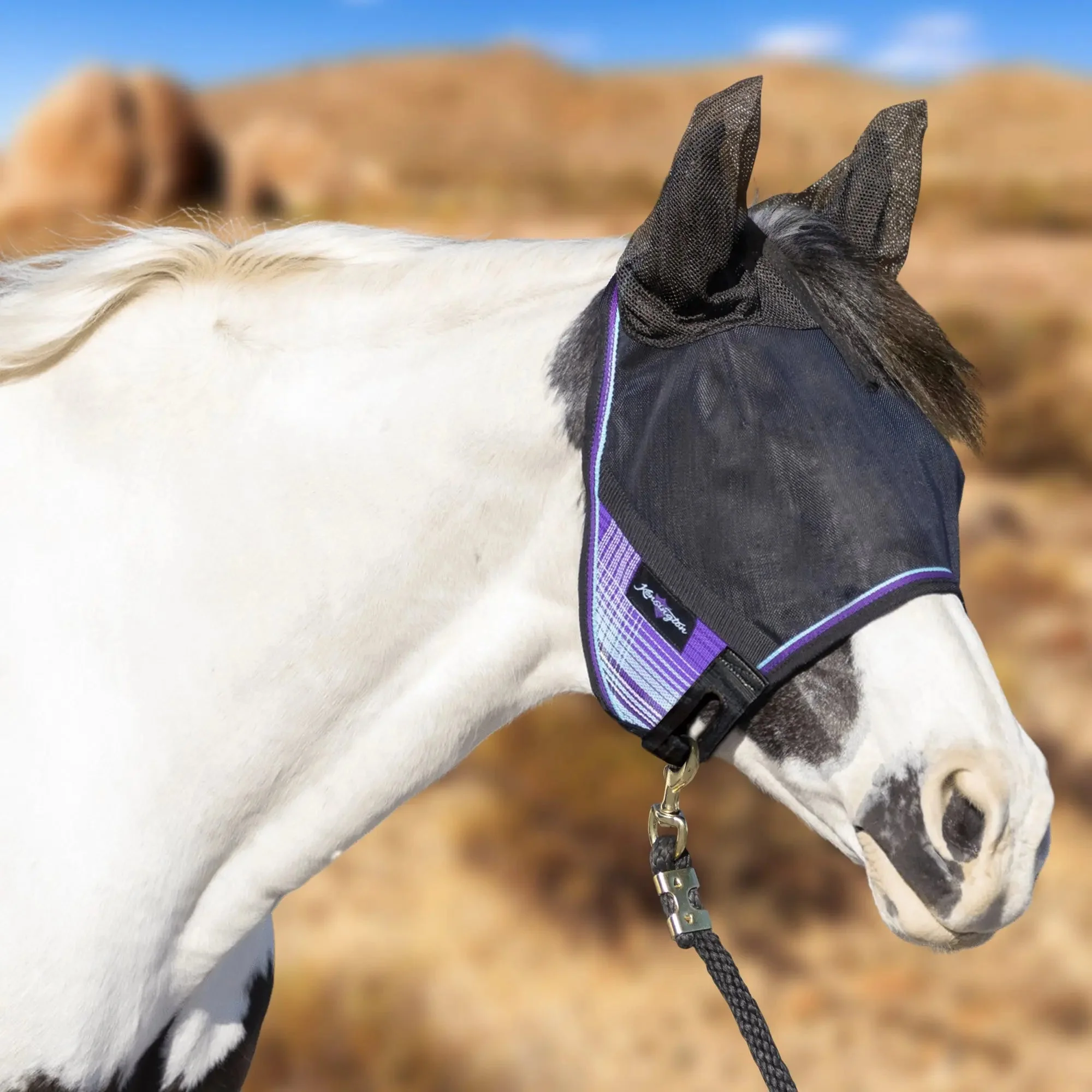 UViator Catch Mask with Ears - 90% UV Blocking - Image 4