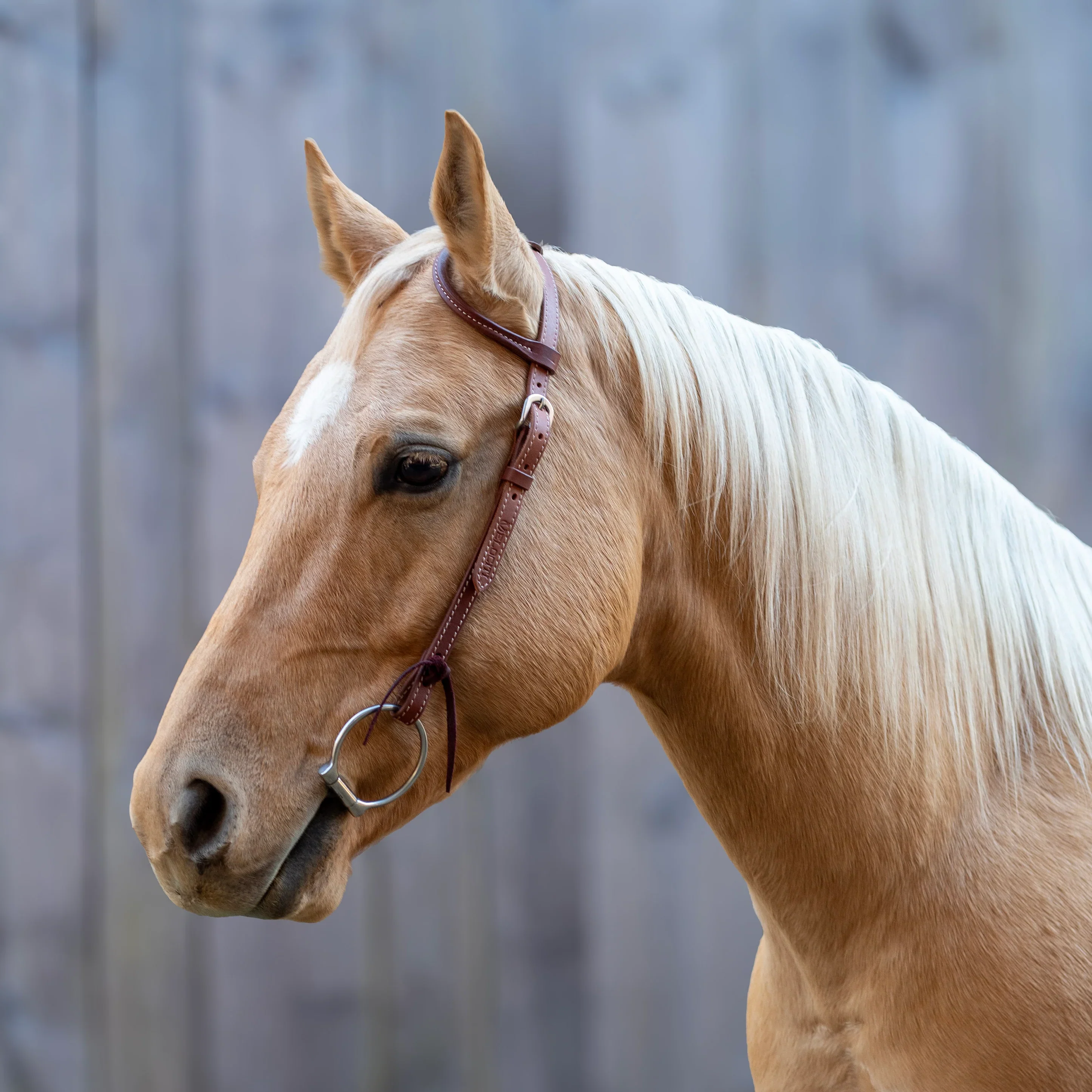 Velociti Leather One Ear Headstall - Image 2