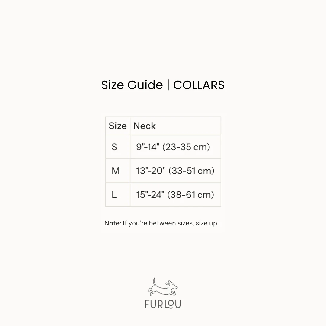 Velvet Dog Collar - Green - Image 3