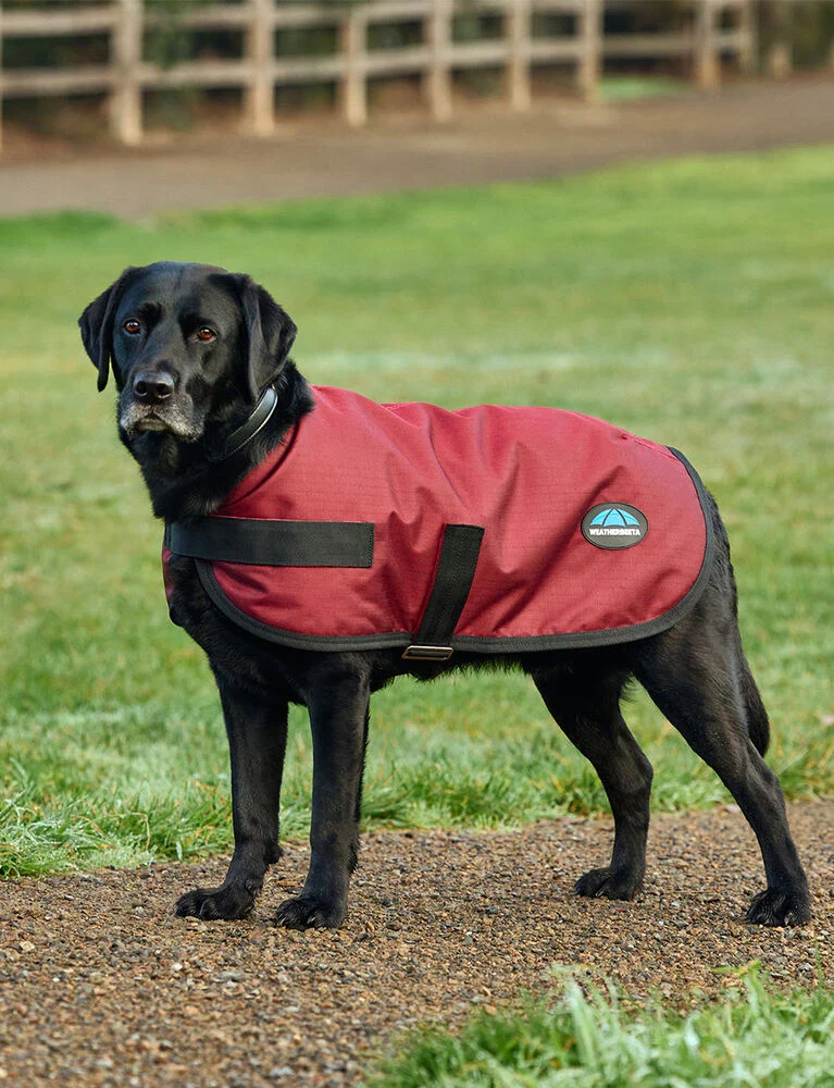 Weatherbeeta Waterproof Dog Coat